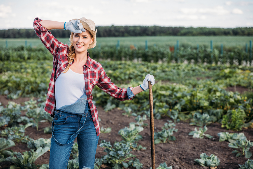 farm insurance